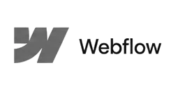 webflow-new.webp